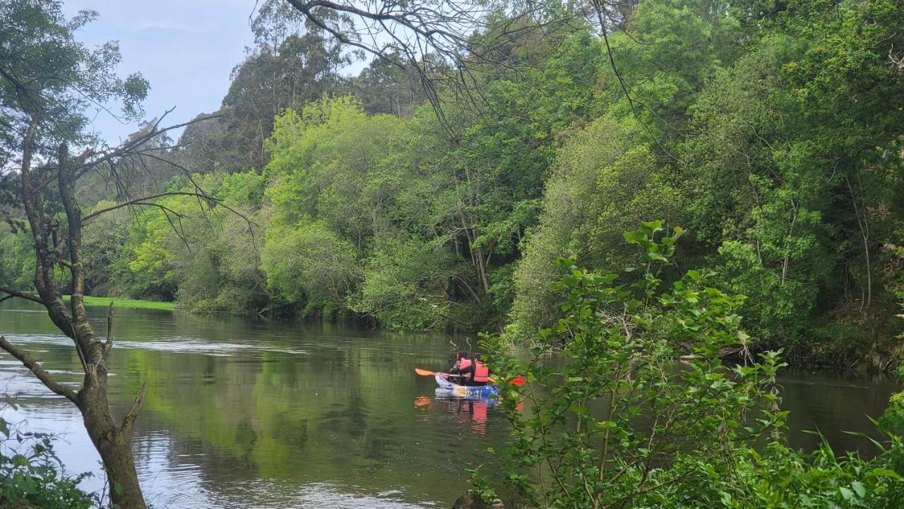 Glasshouse - Near River - Near Oporto - Near Ocean ภายนอก รูปภาพ