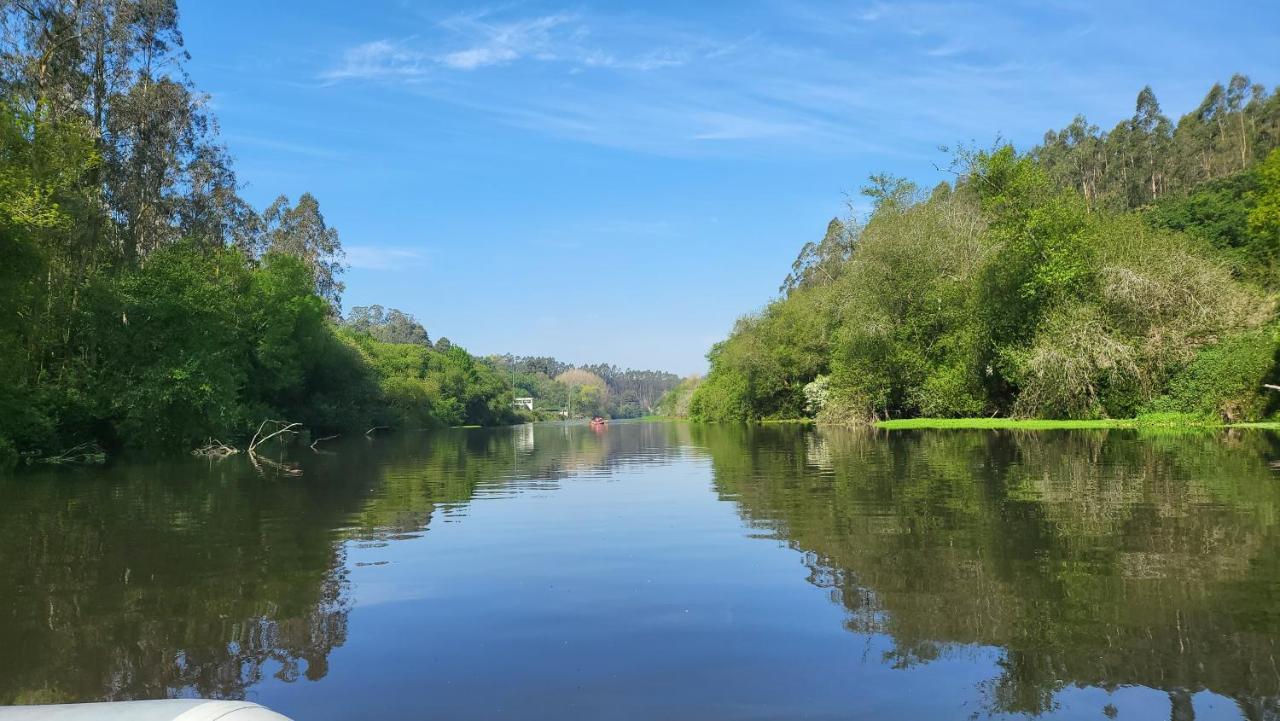 Glasshouse - Near River - Near Oporto - Near Ocean ภายนอก รูปภาพ